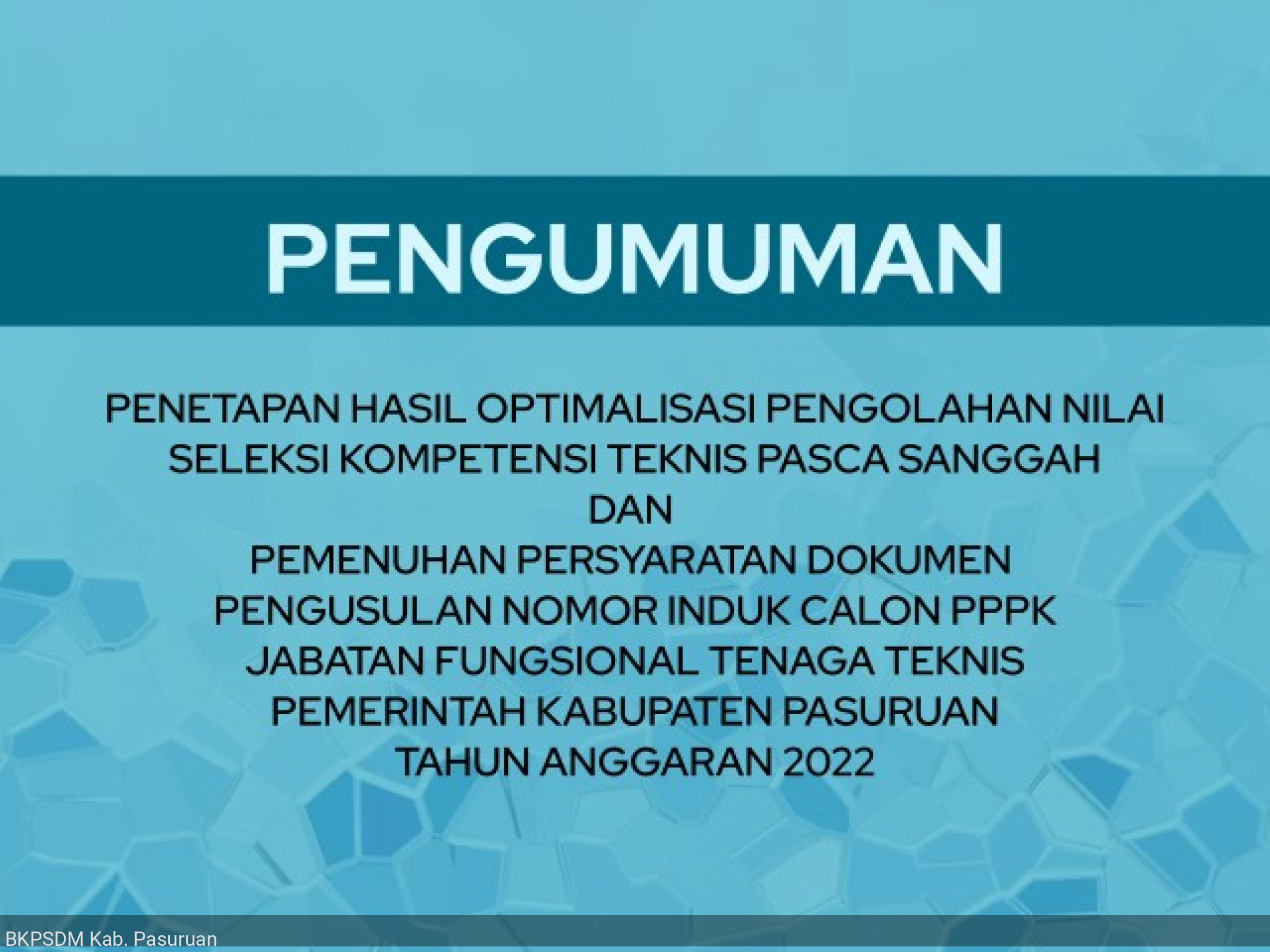 Pengumuman Penetapan Hasil Optimalisasi Pengolahan Nilai Selkom Pasca Sanggah PPPK Tenaga Teknis TA 2022