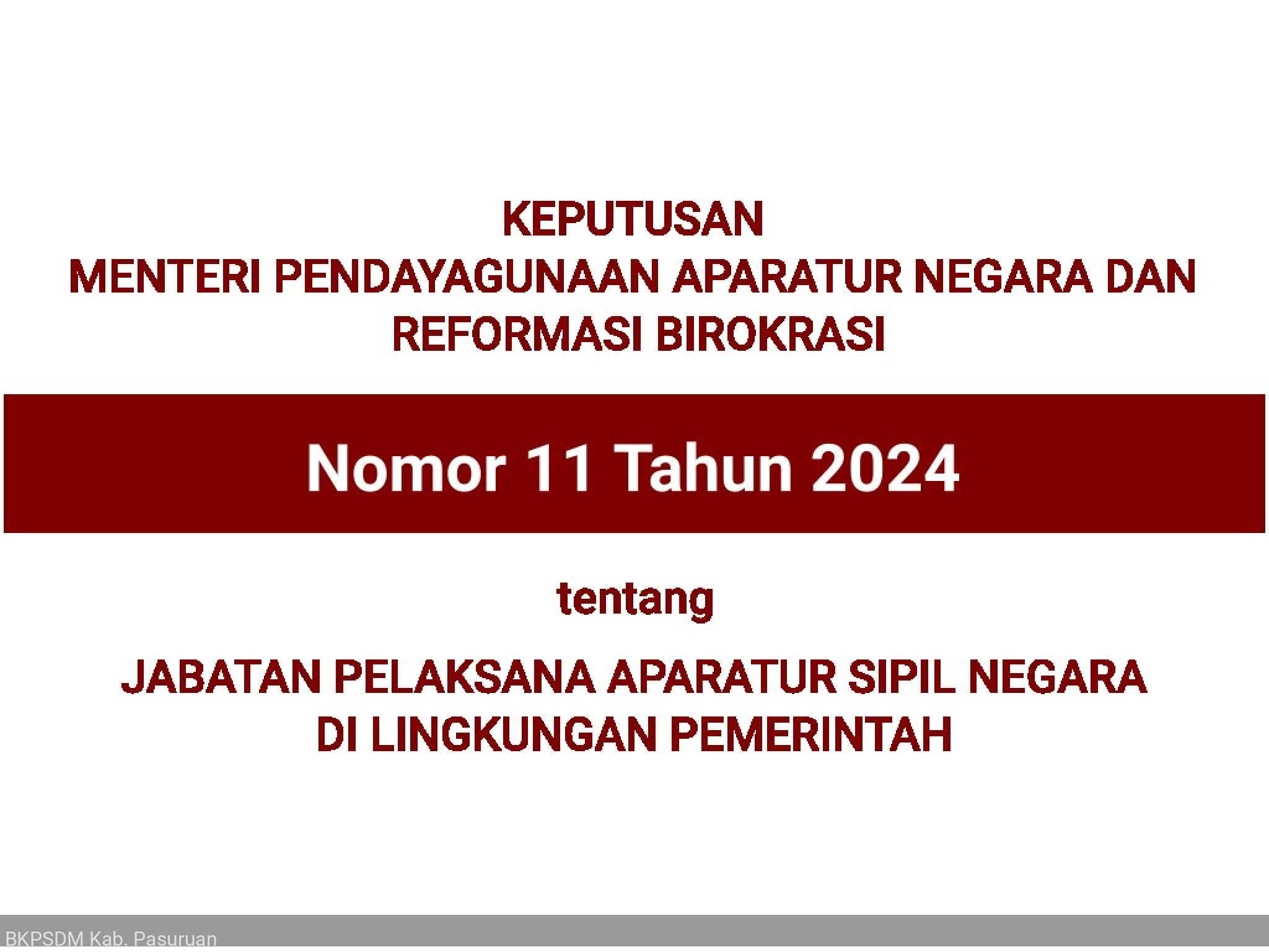 Kepmenpan 11 Tahun 2024 tentang Jabatan Pelaksana ASN di Lingkungan Pemerintah